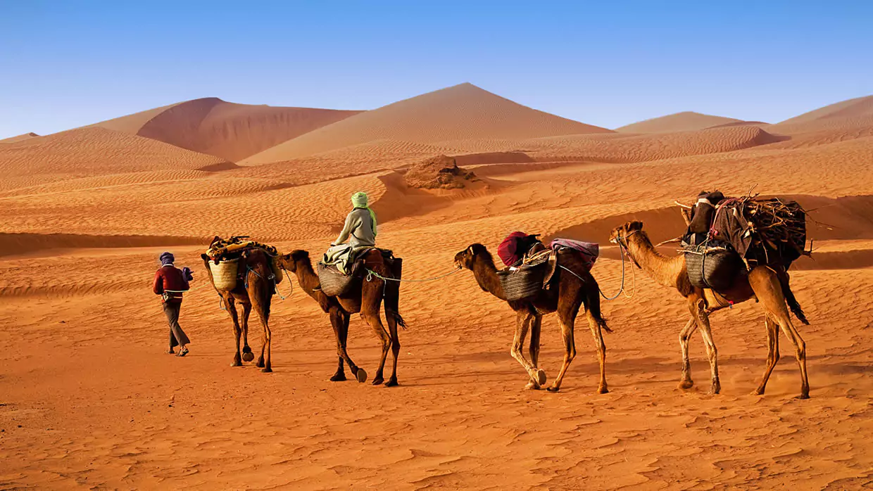 MARRUECOS Y CANARIAS